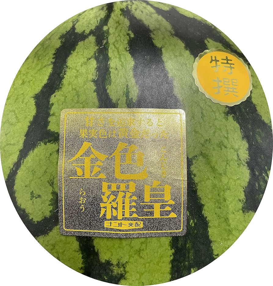 Amazon.co.jp: すいか 植木西瓜 金色羅皇（こんじきらおう）2L